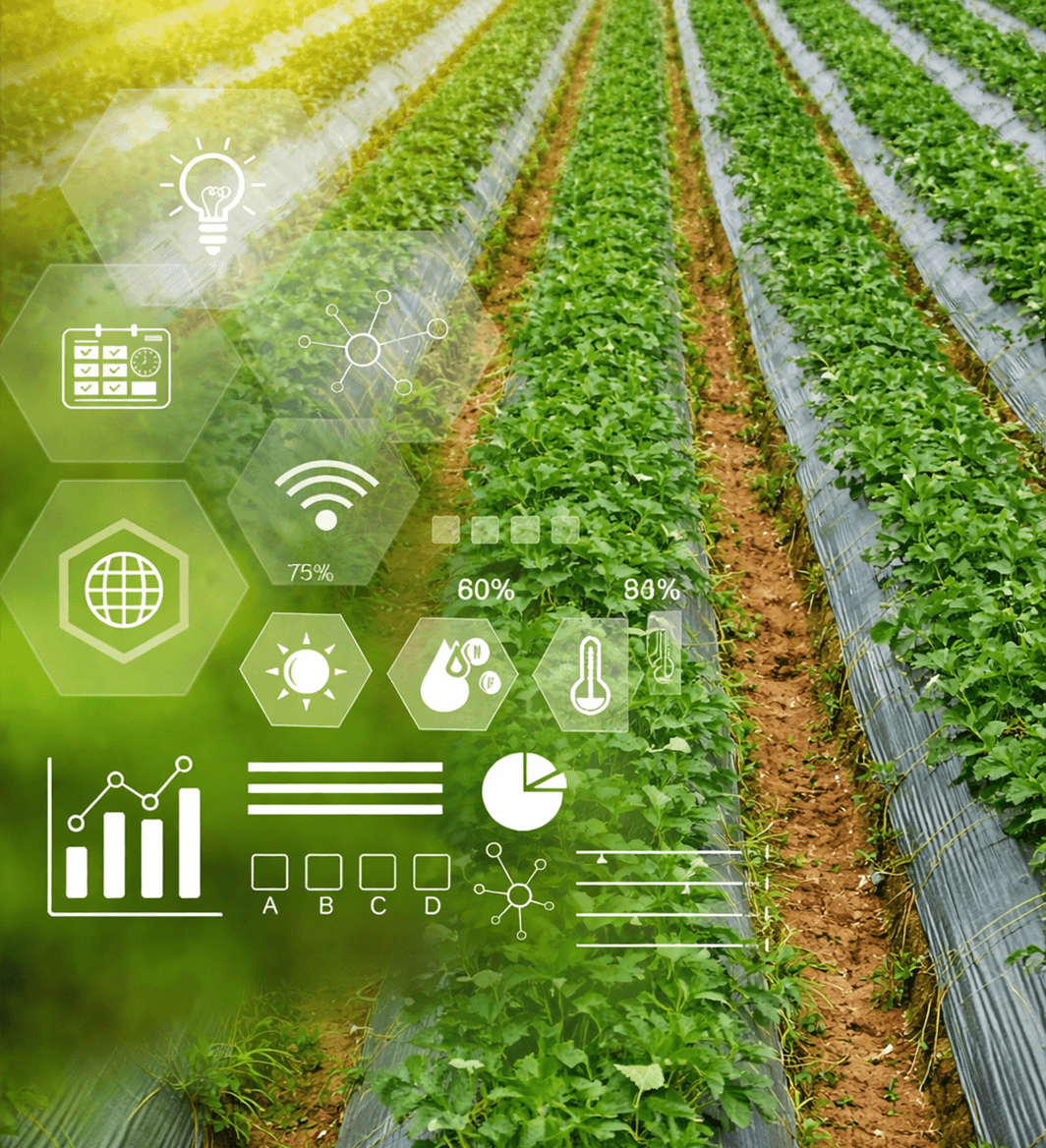 Smart-Agriculture